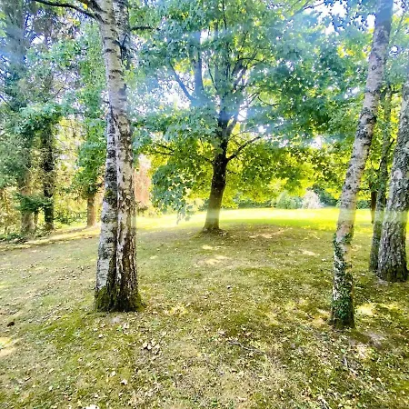 Nature Luxuriante, Jeux En Famille, Workation Et Sauna Pour 1 A 4 Personnes * Labosse